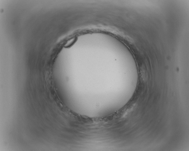 X0000074331494200609152044