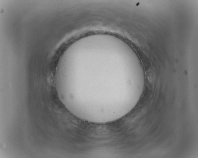 X0000074331495200609152044