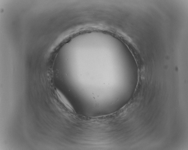 X0000074331496200609152044