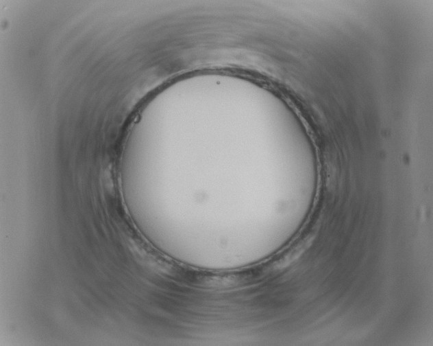 X0000074331497200609152044