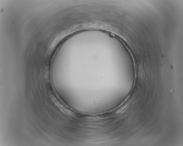 X0000074331499200609152044