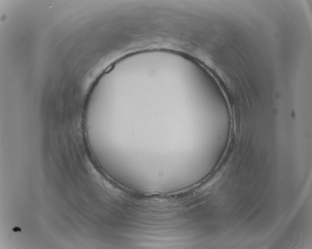 X0000074331500200609152044