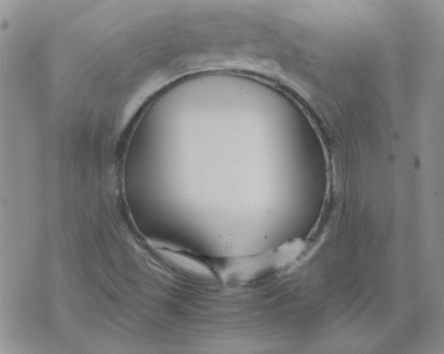 X0000074331501200609152044