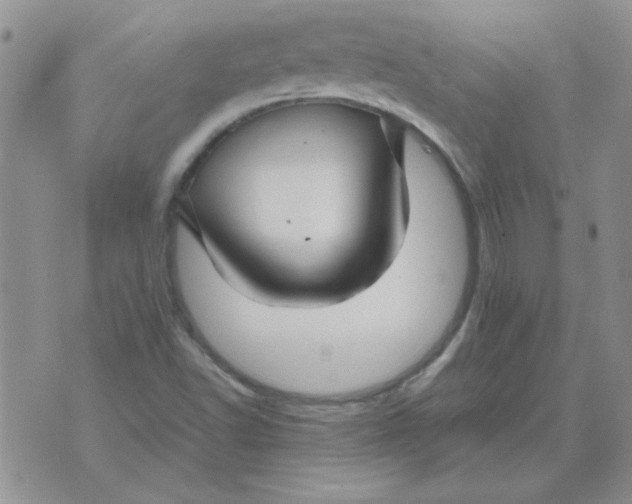 X0000074331502200609152044