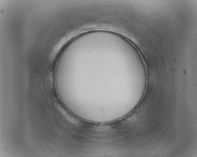 X0000074331503200609152044