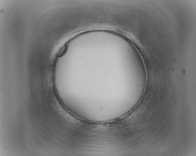 X0000074331504200609152044