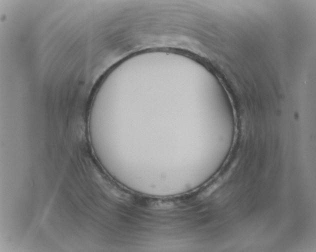 X0000074331505200609152044