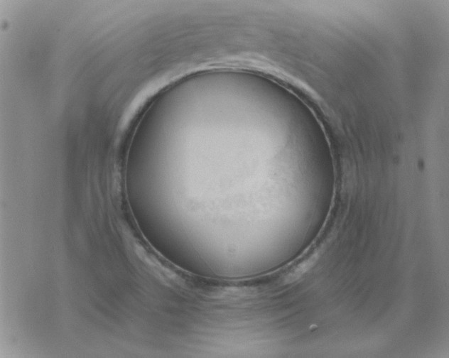 X0000074331506200609152044