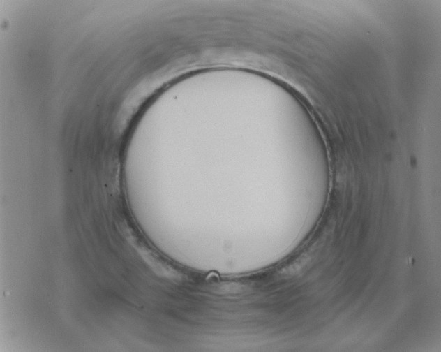 X0000074331507200609152044