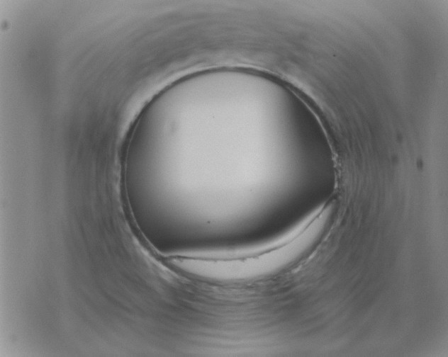 X0000074331508200609152044