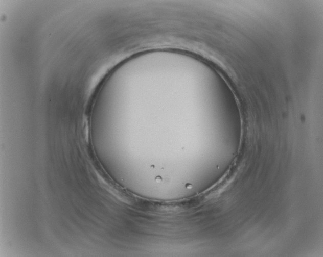 X0000074331509200609152044