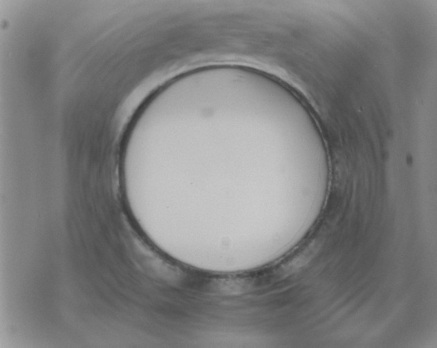 X0000074331511200609152044