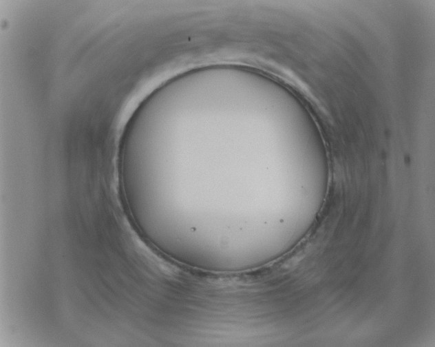 X0000074331512200609152044