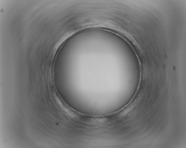 X0000074331513200609152044