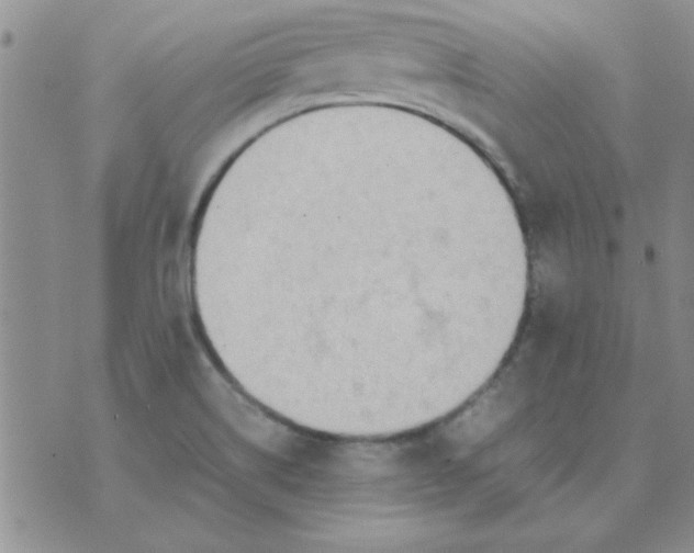 X0000074331514200609152044