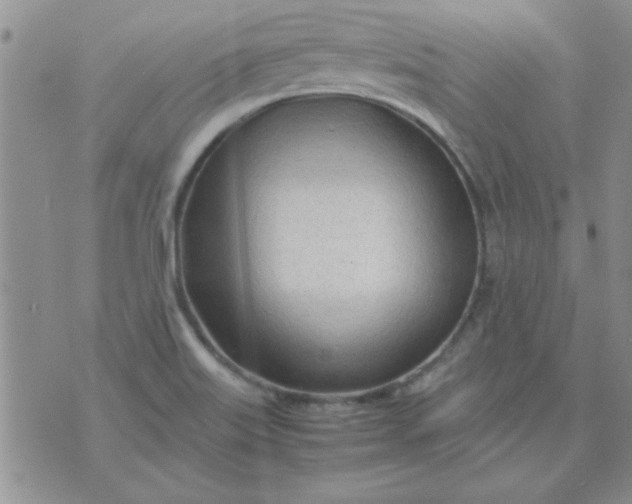 X0000074331515200609152044