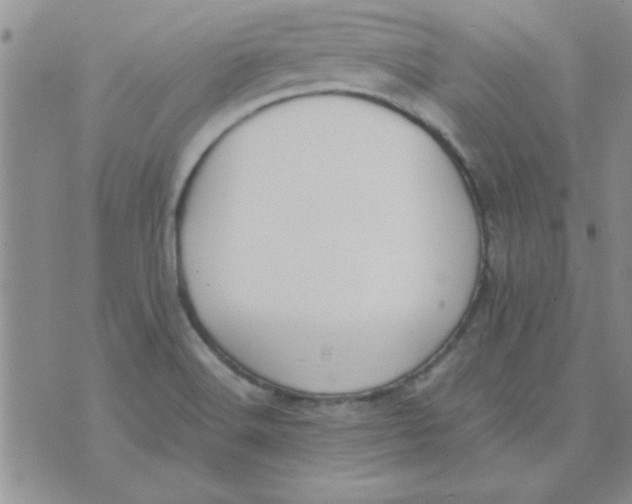 X0000074331516200609152044