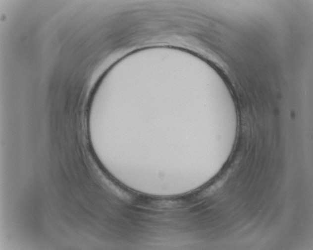 X0000074331517200609152044