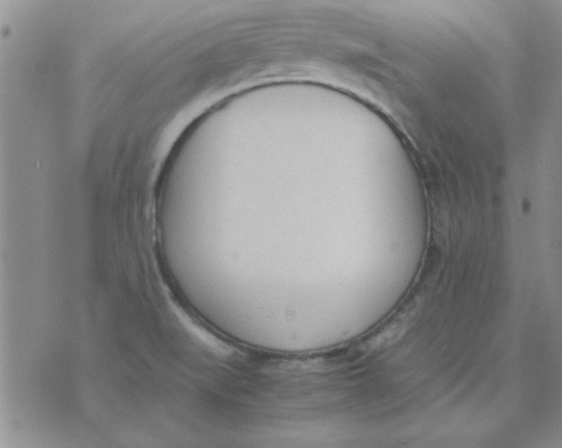 X0000074331519200609152044