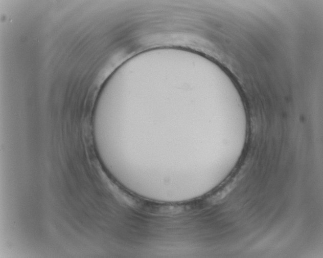 X0000074331521200609152044