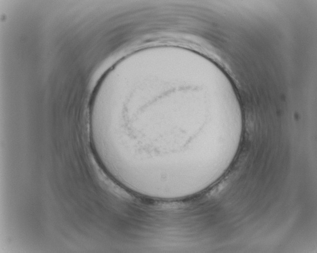 X0000074331522200609152044