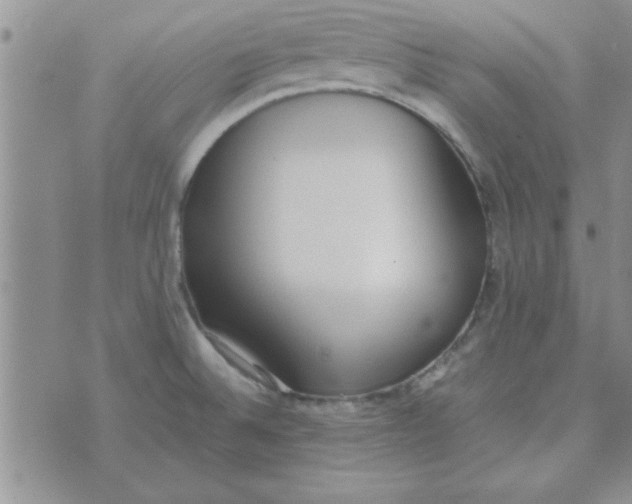 X0000074331524200609152044