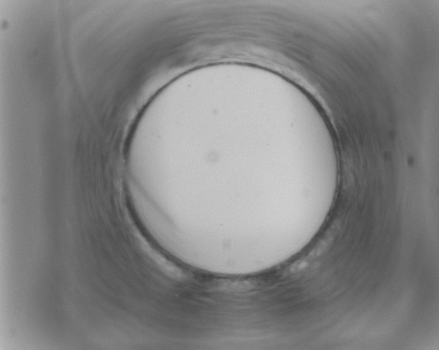 X0000074331525200609152044