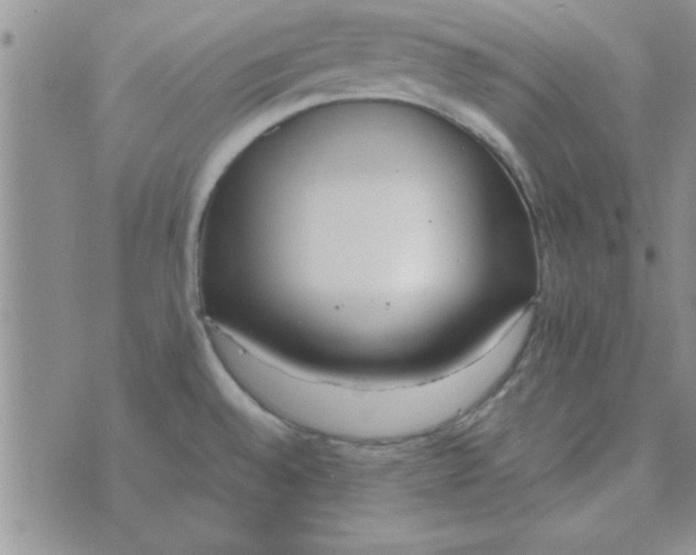 X0000074331528200609152044