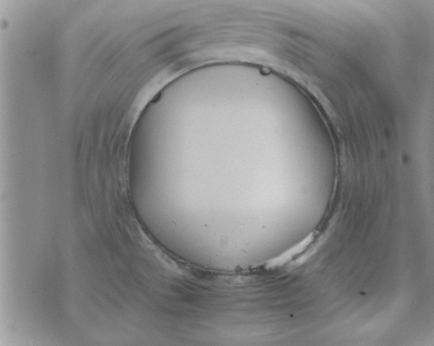 X0000074331529200609152044