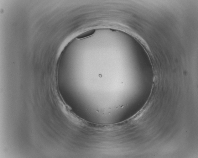 X0000074331530200609152044