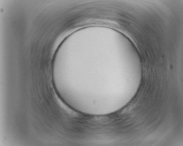 X0000074331531200609152044