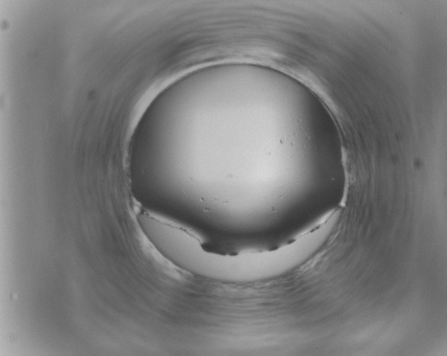 X0000074331532200609152044