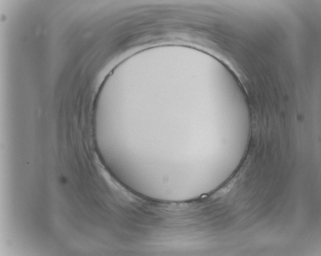 X0000074331534200609152044