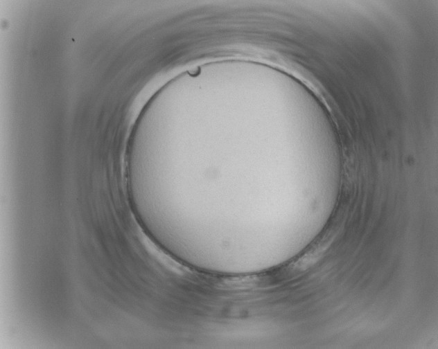 X0000074331535200609152044