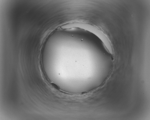 X0000074330001200609230104