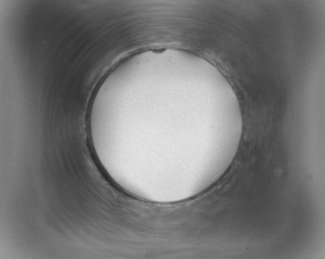 X0000074330002200609230104