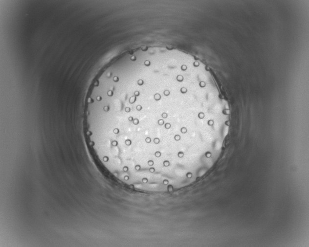 X0000074330003200609230104