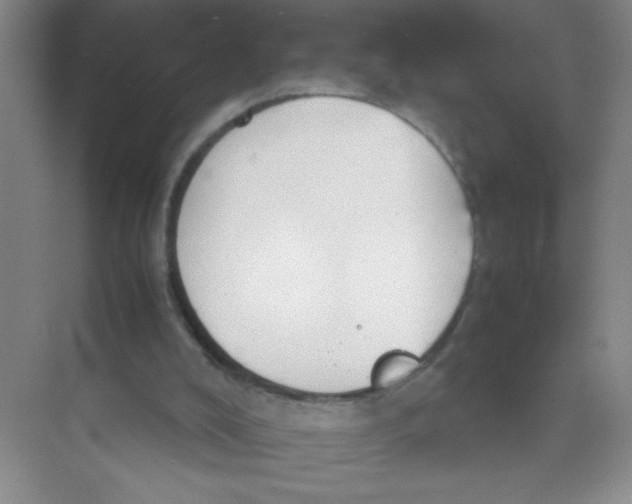 X0000074330008200609230104