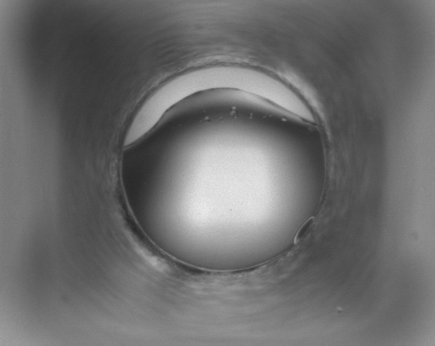 X0000074330009200609230104