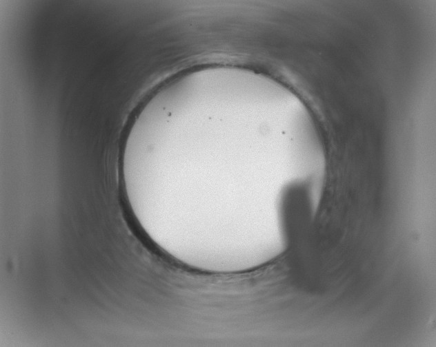 X0000074330011200609230104