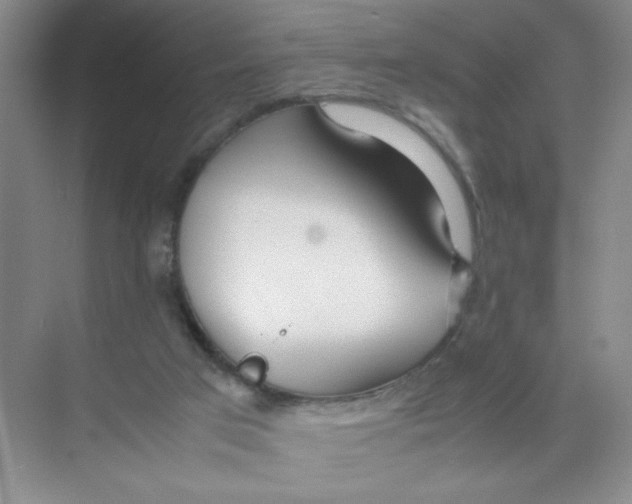 X0000074330017200609230104