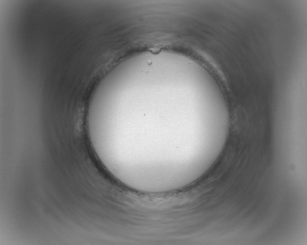 X0000074330018200609230104