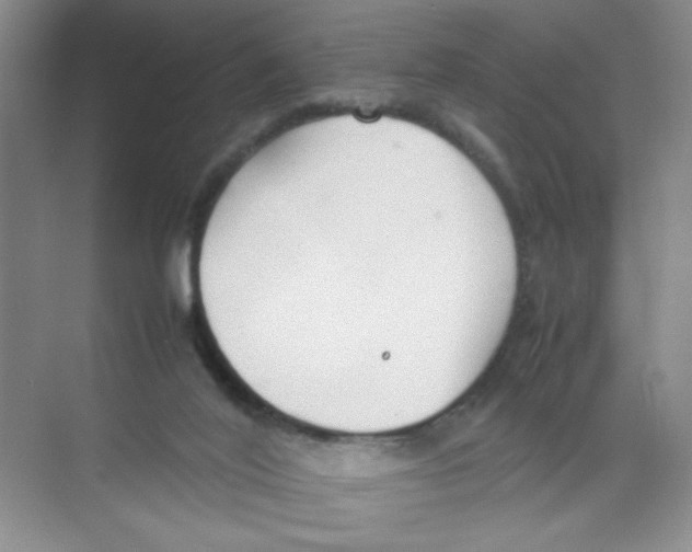 X0000074330020200609230104