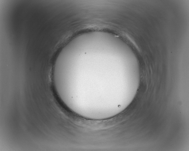 X0000074330023200609230104