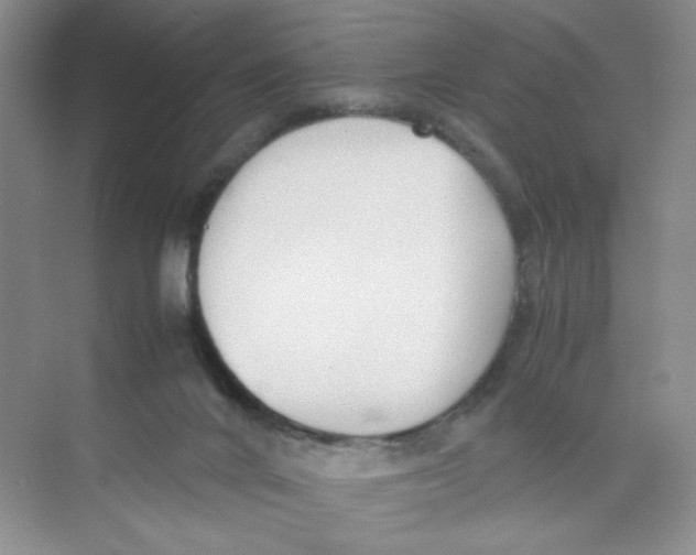 X0000074330024200609230104