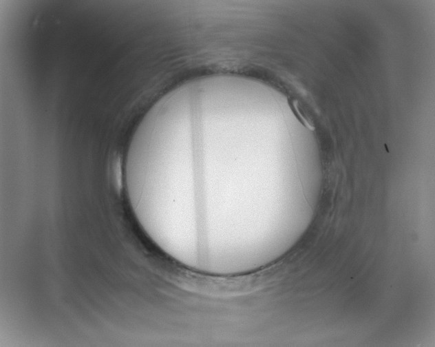 X0000074330027200609230104