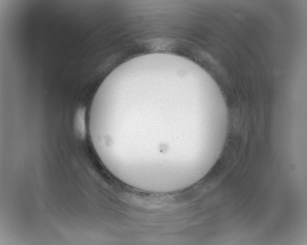 X0000074330028200609230104