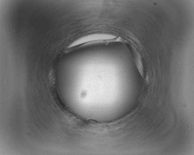 X0000074330029200609230104