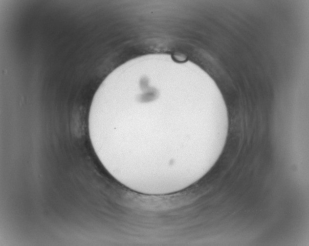 X0000074330030200609230104