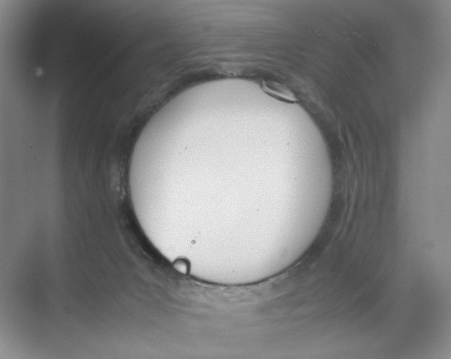 X0000074330031200609230104